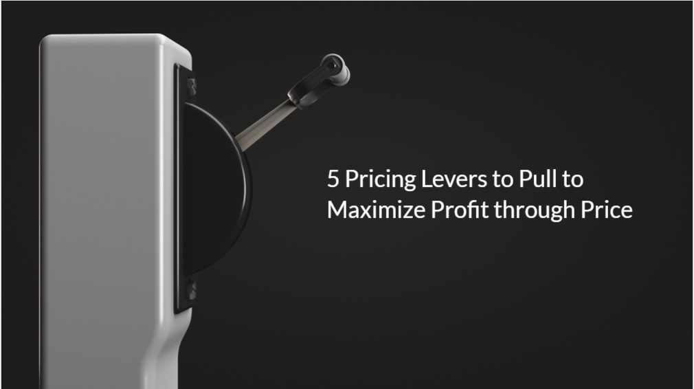 Maximizing Profit Through Price: Five Easy, Yet Powerful, Price Levers You Probably Aren’t Fully Addressing