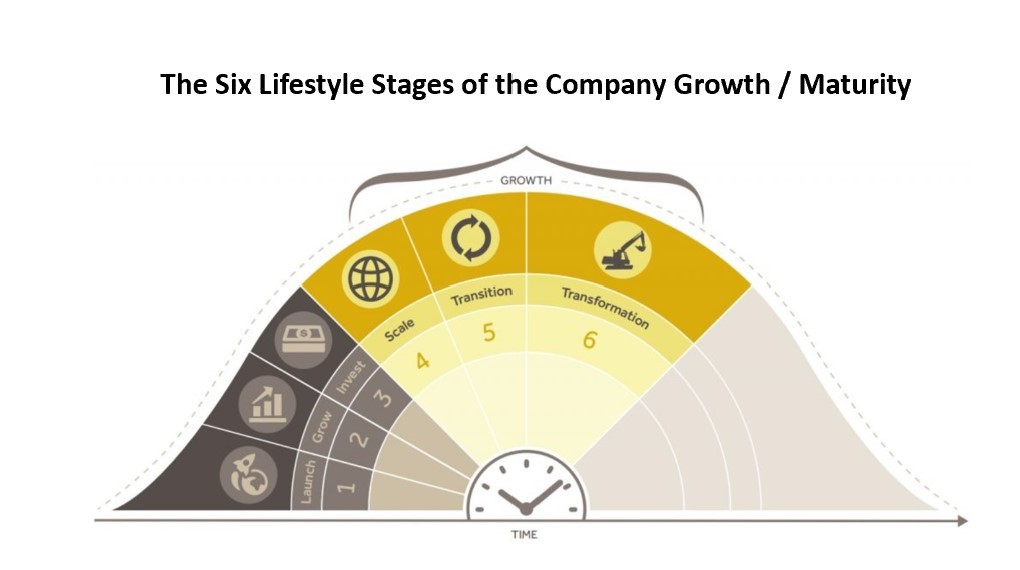 Navigating Complexity: Why Business Transition Is So Costly and Error-Prone