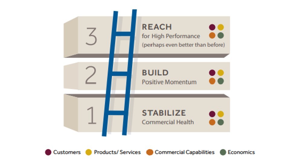 Climbing Back Up the Revenue Ladder™