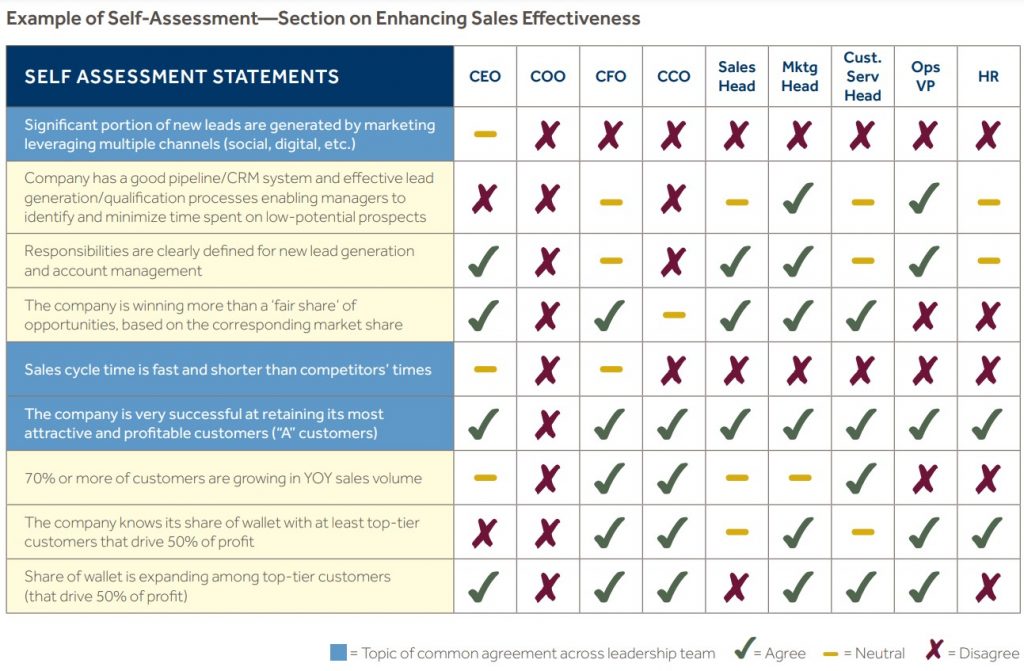 Example of Self-Assessment—Section on Enhancing Sales Effectiveness

