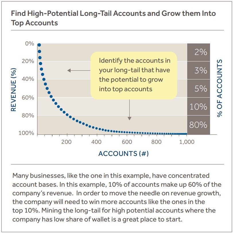 Find High-Potential Long-Tail Accounts and Grow them Into Top Accounts