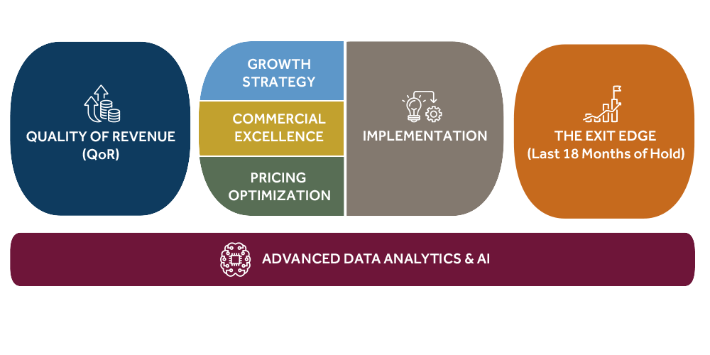 BRPStrategyDiagram_June2025webtrans
