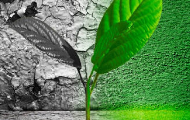 The Cross-Selling Conundrum: Why Synergies Fall Short and How Companies Can Unlock Them